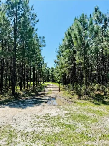 $399,900 | 30.46-acres Minton Road, Townsend, GA 31331