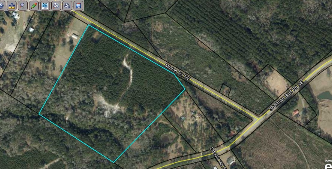 30.46-acres Minton Road Townsend, GA 31331 - Photo 21 of 22