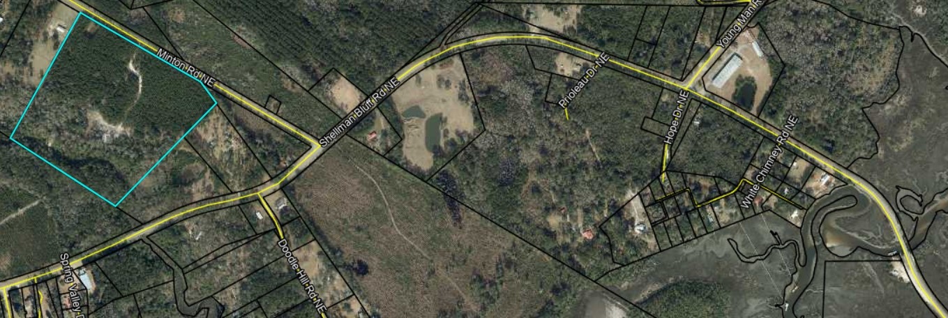 30.46-acres Minton Road Townsend, GA 31331 - Photo 22 of 22