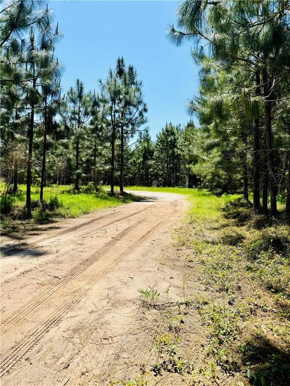30.46-acres Minton Road Townsend, GA 31331 - Photo 3 of 22