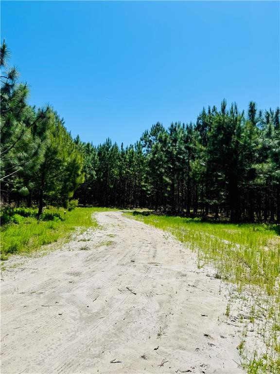 30.46-acres Minton Road Townsend, GA 31331 - Photo 4 of 22