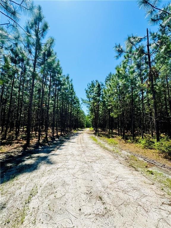 30.46-acres Minton Road Townsend, GA 31331 - Photo 5 of 22