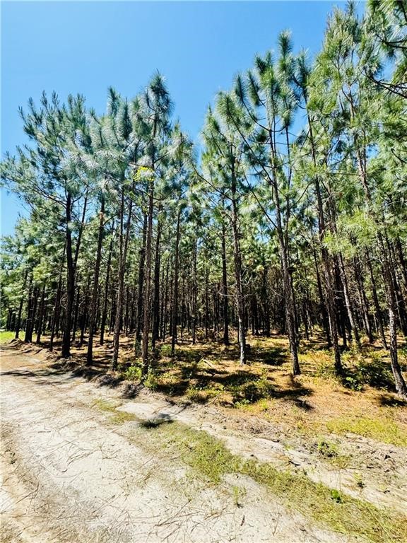 30.46-acres Minton Road Townsend, GA 31331 - Photo 6 of 22