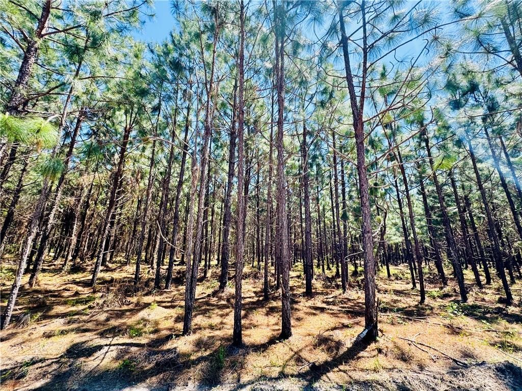 30.46-acres Minton Road Townsend, GA 31331 - Photo 7 of 22