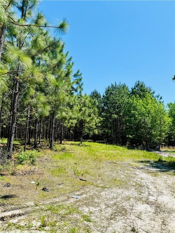 30.46-acres Minton Road Townsend, GA 31331 - Photo 8 of 22