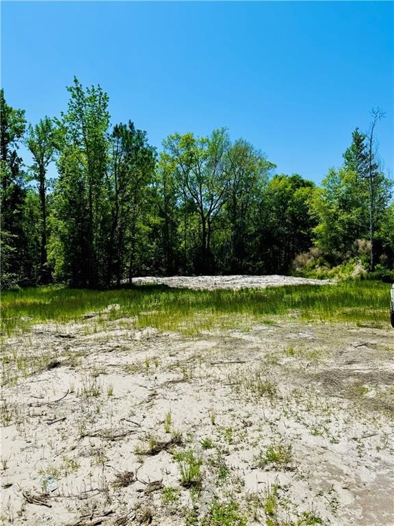 30.46-acres Minton Road Townsend, GA 31331 - Photo 9 of 22