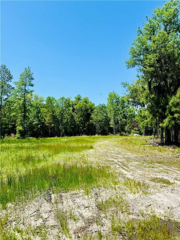 30.46-acres Minton Road Townsend, GA 31331 - Photo 10 of 22