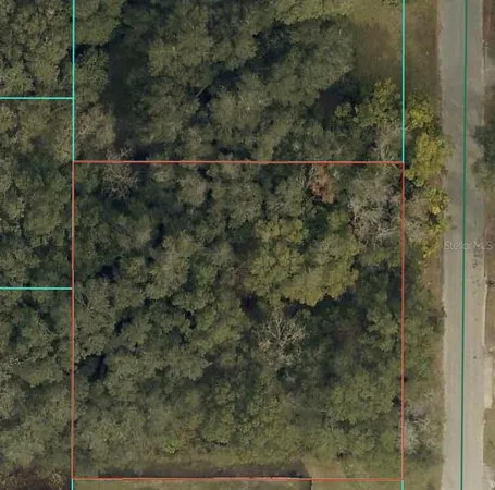 $35,000 | Tbd Southeast 94th Court, Summerfield, FL 34491