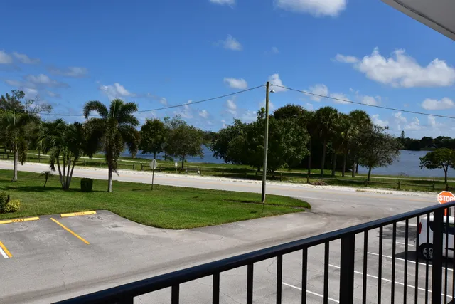 a view of a backyard with palm trees