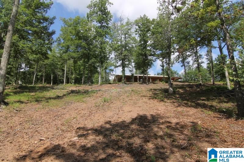 1853 Center Hill Road Lineville, AL 36266 - Photo 27 of 43 Gallery Image 27