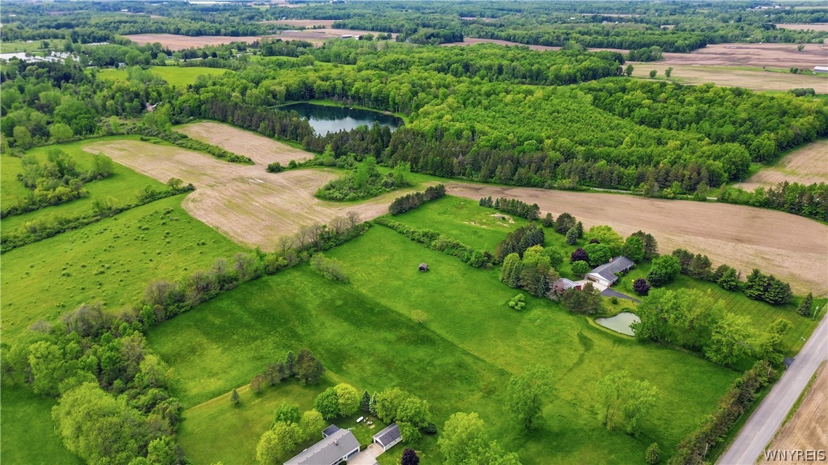 9950 Harper Road Darien, NY 14036 - Photo 23 of 50 Beautiful land