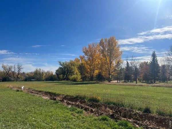 a view of a grassy field