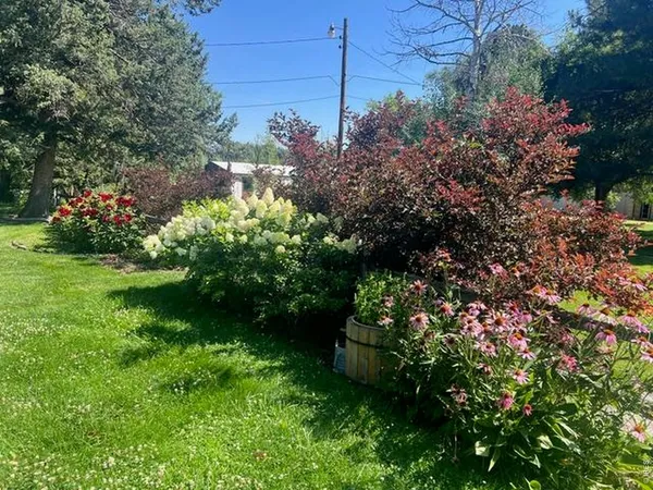 a view of a garden