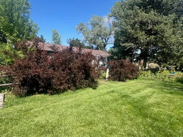 a view of a yard