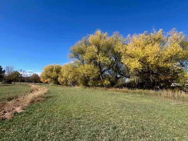a view of a field