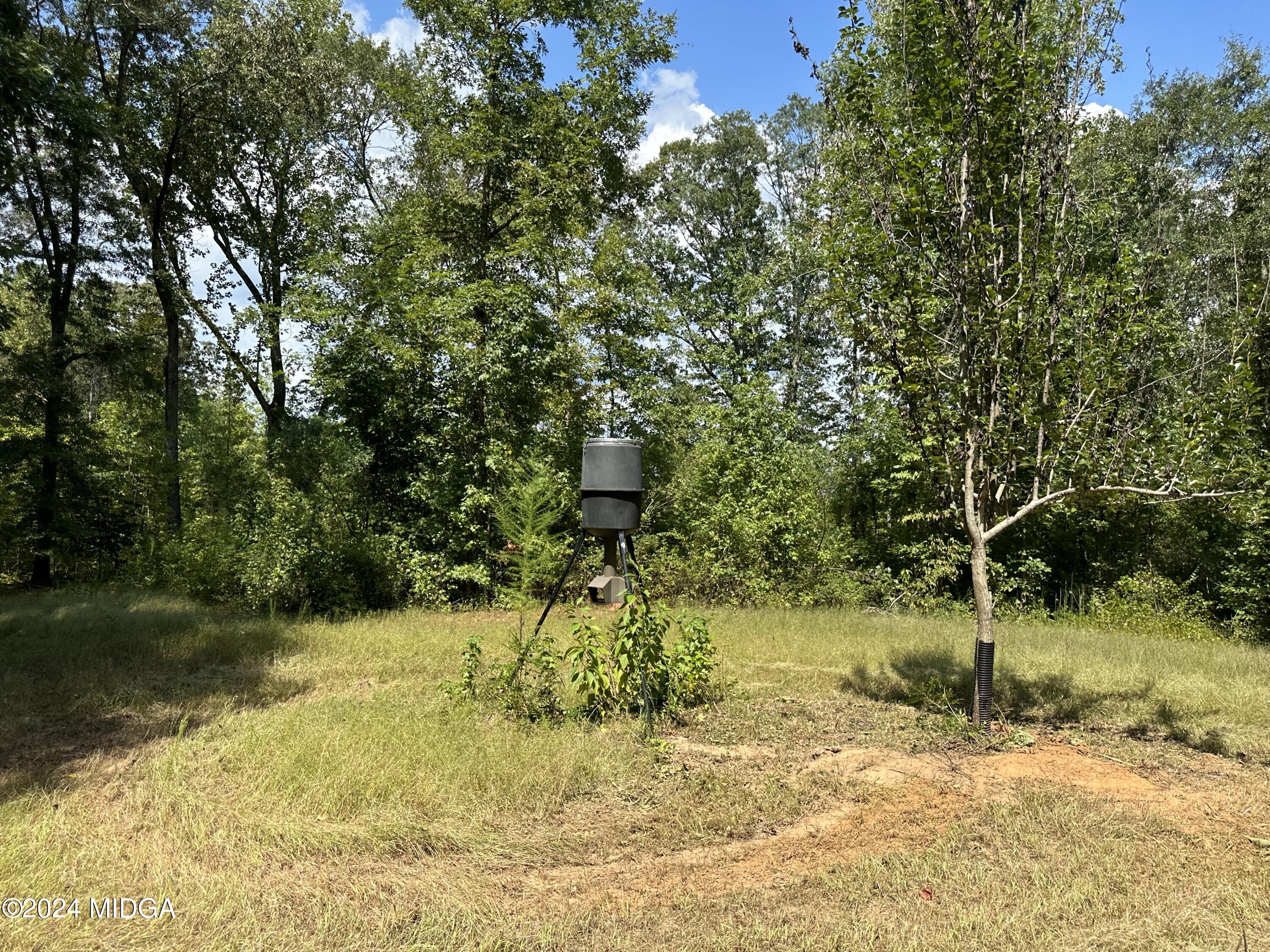 4715 East Hopewell Road Musella, GA 31066 - Photo 60 of 63 IMG_4350