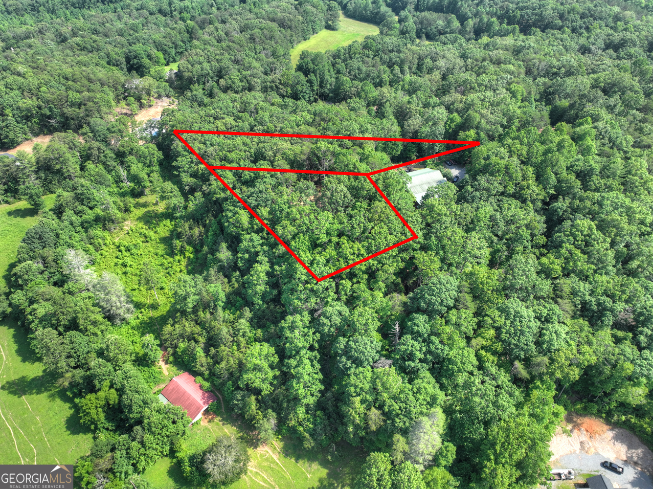 0 Sugar Creek Road Blue Ridge, GA 30513 - Photo 3 of 13