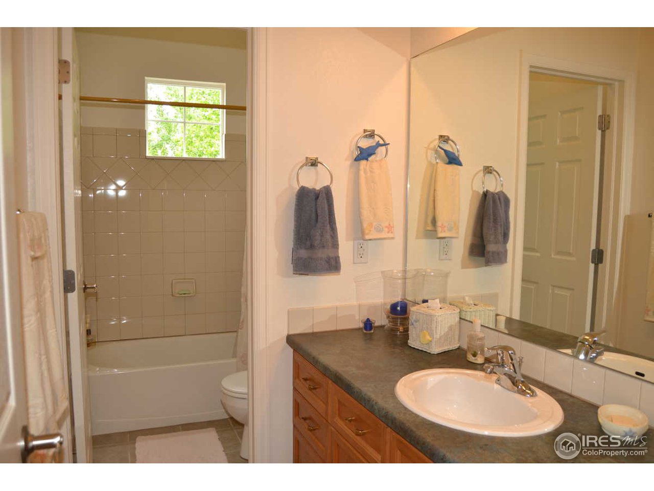 9390 Birch Road Frederick, CO 80504 - Photo 14 of 18 Gallery Image 14