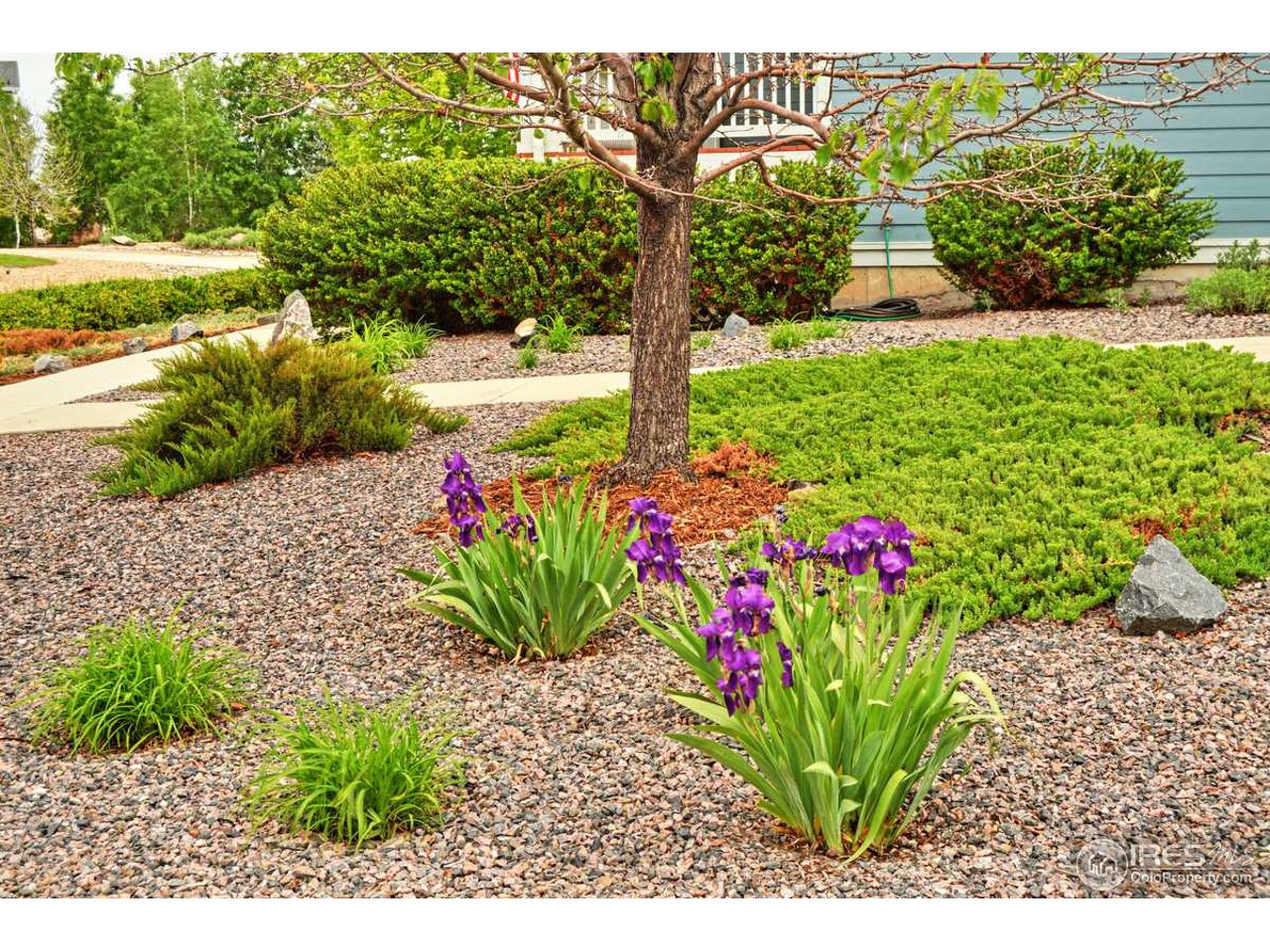 9390 Birch Road Frederick, CO 80504 - Photo 4 of 18 Gallery Image 4