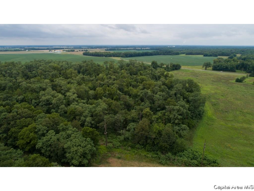 0 Manito Road Forest City, IL 61532 - Photo 2 of 12 Gallery Image 2