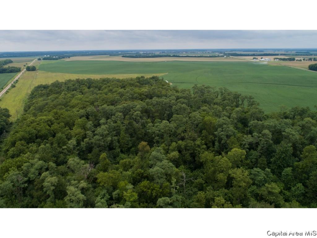 0 Manito Road Forest City, IL 61532 - Photo 3 of 12 Gallery Image 3