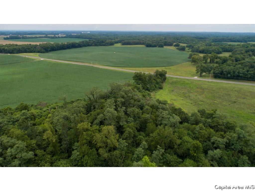 0 Manito Road Forest City, IL 61532 - Photo 4 of 12 Gallery Image 4