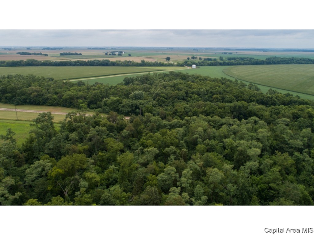 0 Manito Road Forest City, IL 61532 - Photo 5 of 12 Gallery Image 5