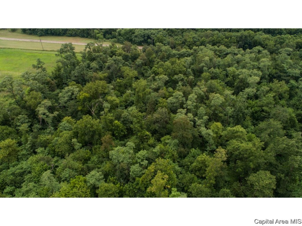 0 Manito Road Forest City, IL 61532 - Photo 6 of 12 Gallery Image 6