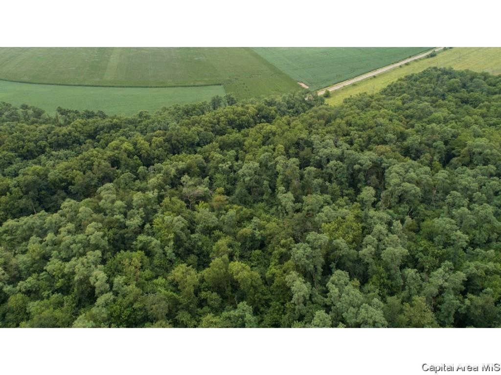 0 Manito Road Forest City, IL 61532 - Photo 7 of 12 Gallery Image 7