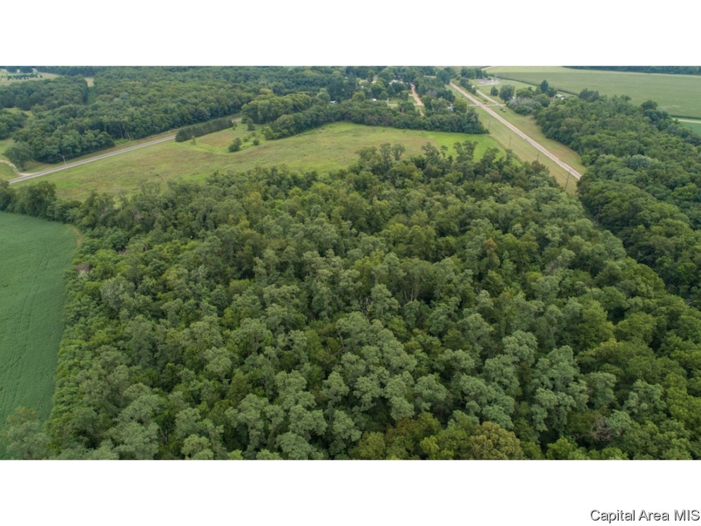 0 Manito Road Forest City, IL 61532 - Photo 8 of 12 Gallery Image 8
