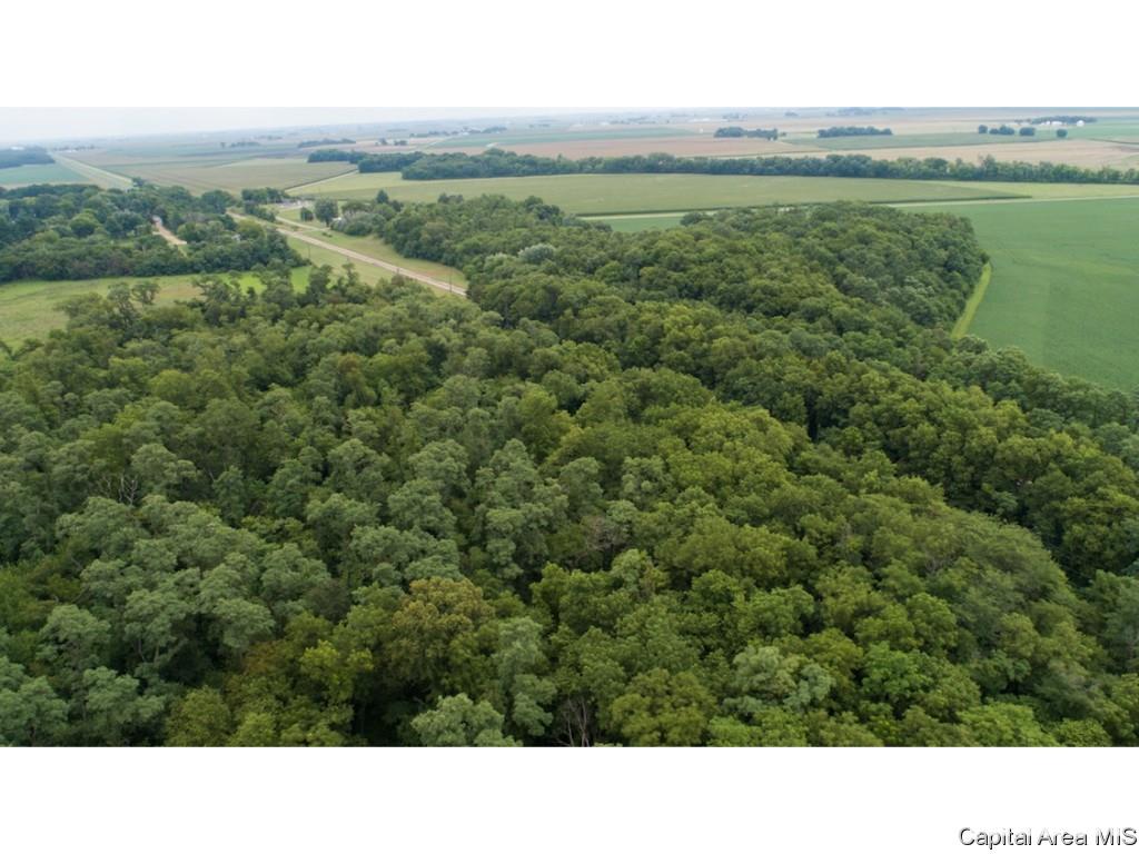 0 Manito Road Forest City, IL 61532 - Photo 9 of 12 Gallery Image 9