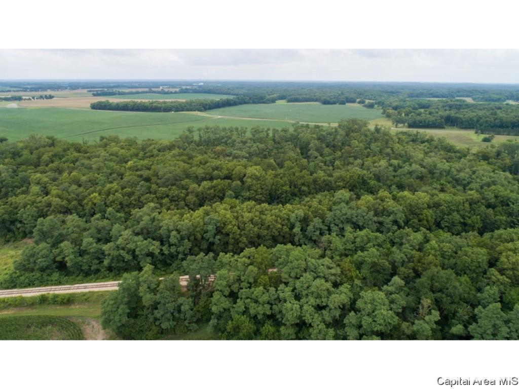 0 Manito Road Forest City, IL 61532 - Photo 10 of 12 Gallery Image 10