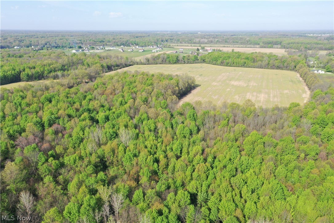 Station Road Columbia Station, OH 44028 - Photo 4 of 22 Expansive land parcel featuring dense woodlands and cleared fields