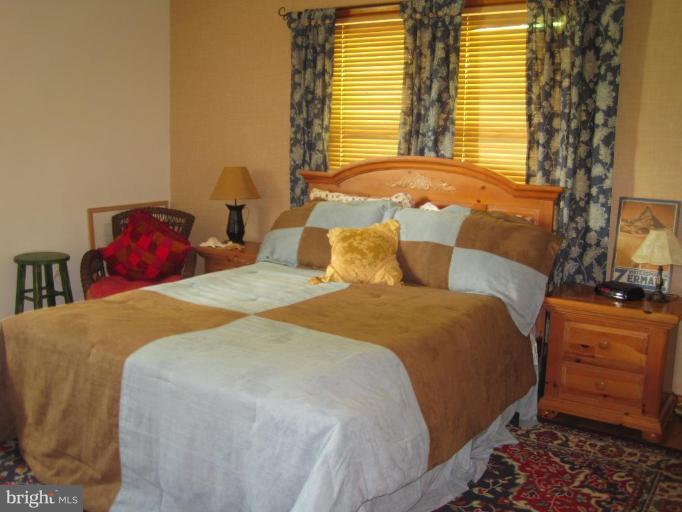 2220 Daisy Road Woodbine, MD 21797 - Photo 10 of 12 Master Bedroom