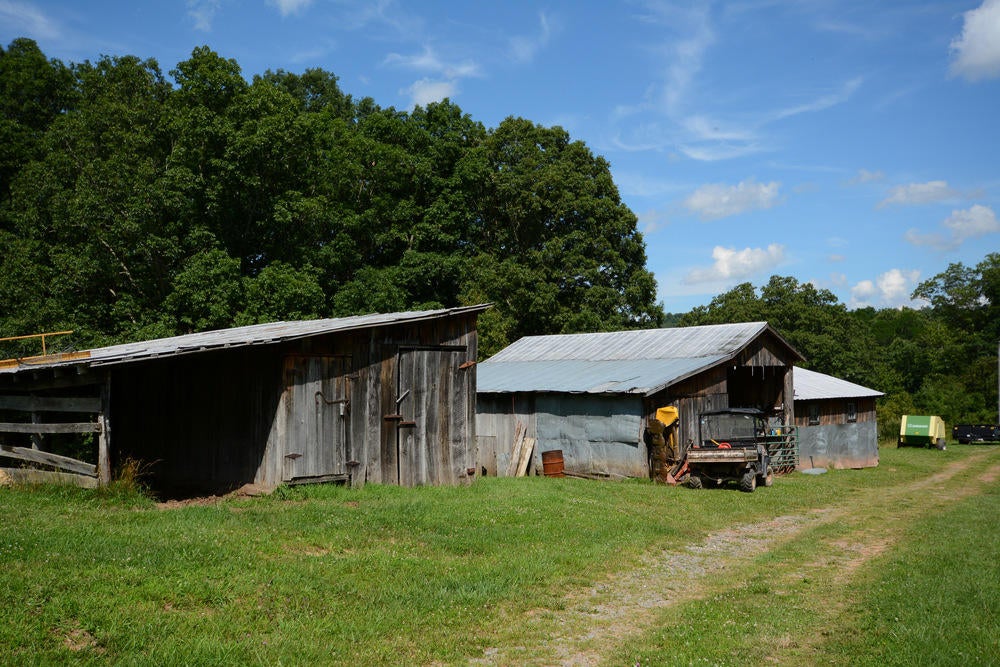 5225 Cornstalk Road Crawley, WV 24931 - Photo 9 of 44 Gallery Image 9