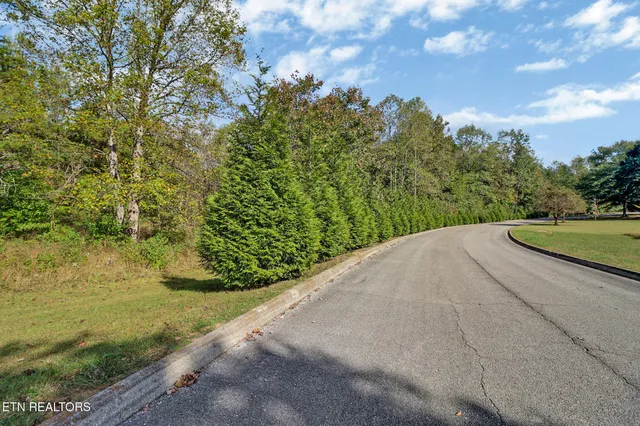 $31,900 | Lot 33 Indigo Bunting Drive, Harriman, TN 37748