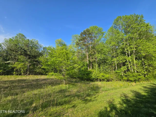 $31,900 | Lot 33 Indigo Bunting Drive, Harriman, TN 37748