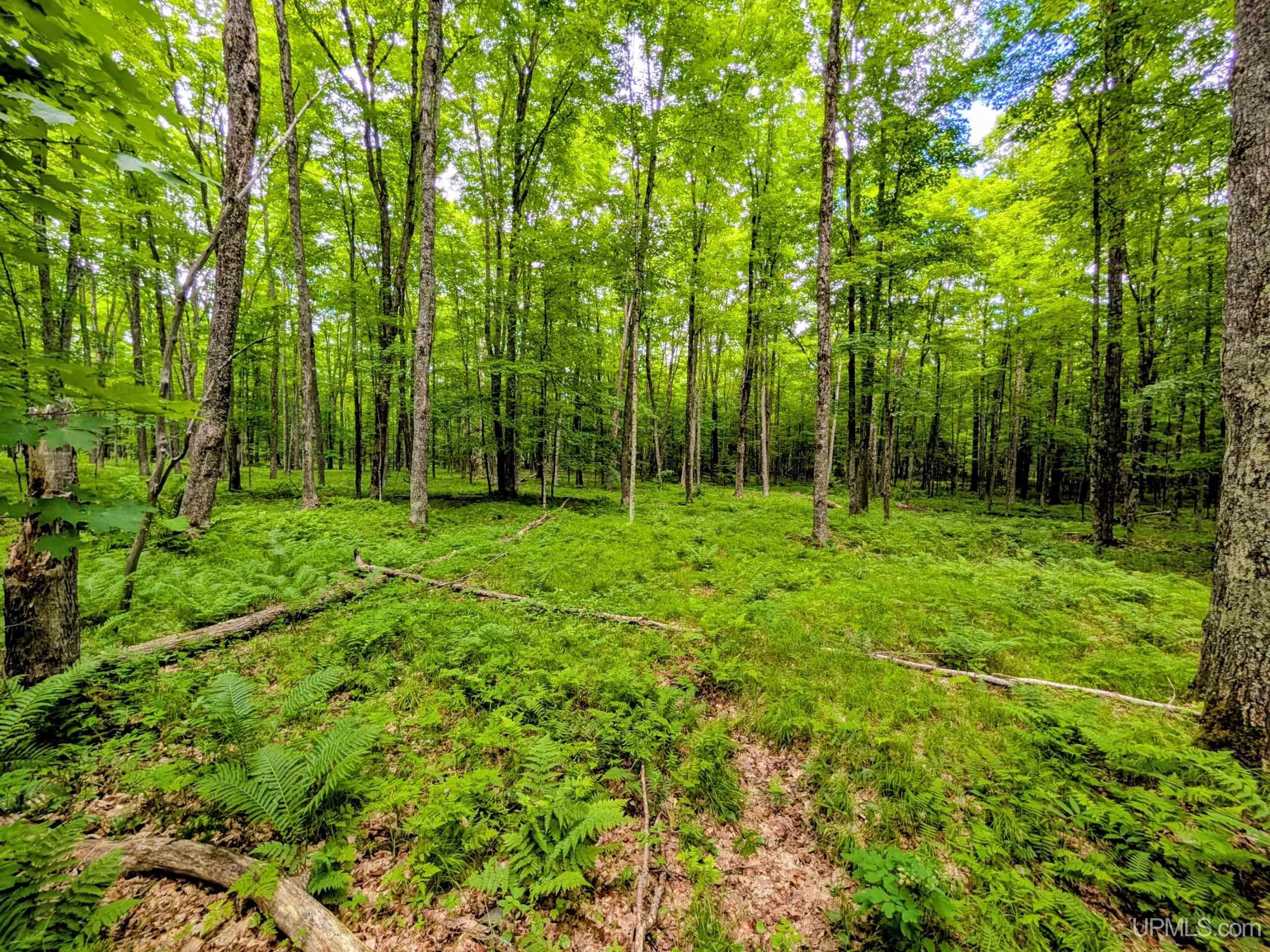 104 Forsberg Road Iron River, MI 49935 - Photo 23 of 34