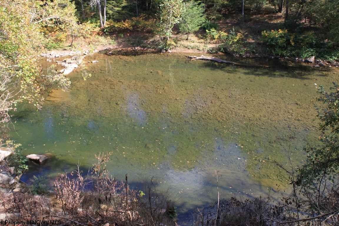 1133 Elk River Road Webster Springs, WV 26288 - Photo 2 of 17 Gallery Image 2