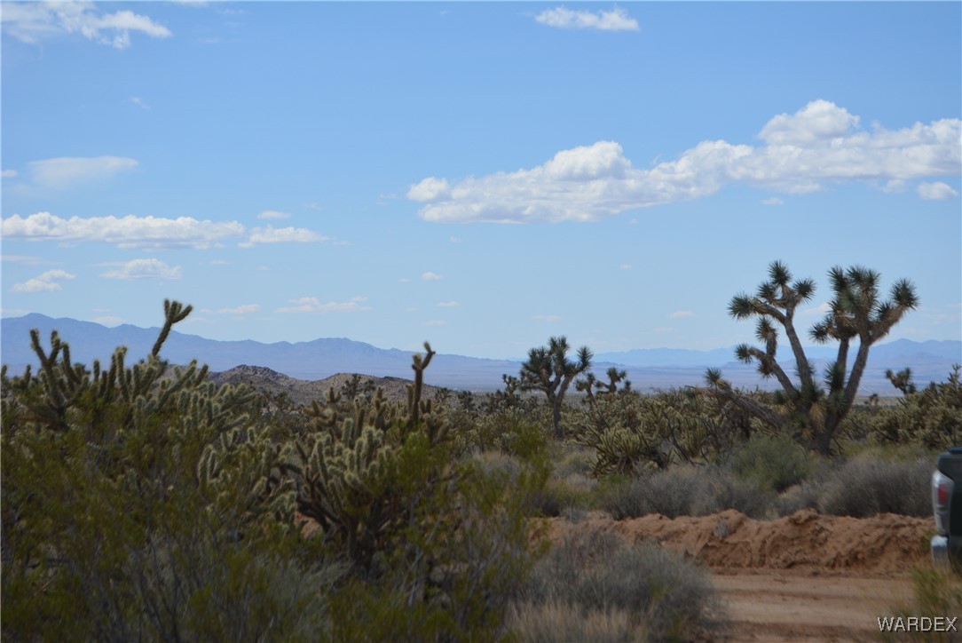 11900 Alan Road Yucca, AZ 86438 - Photo 67 of 99 Gallery Image 67