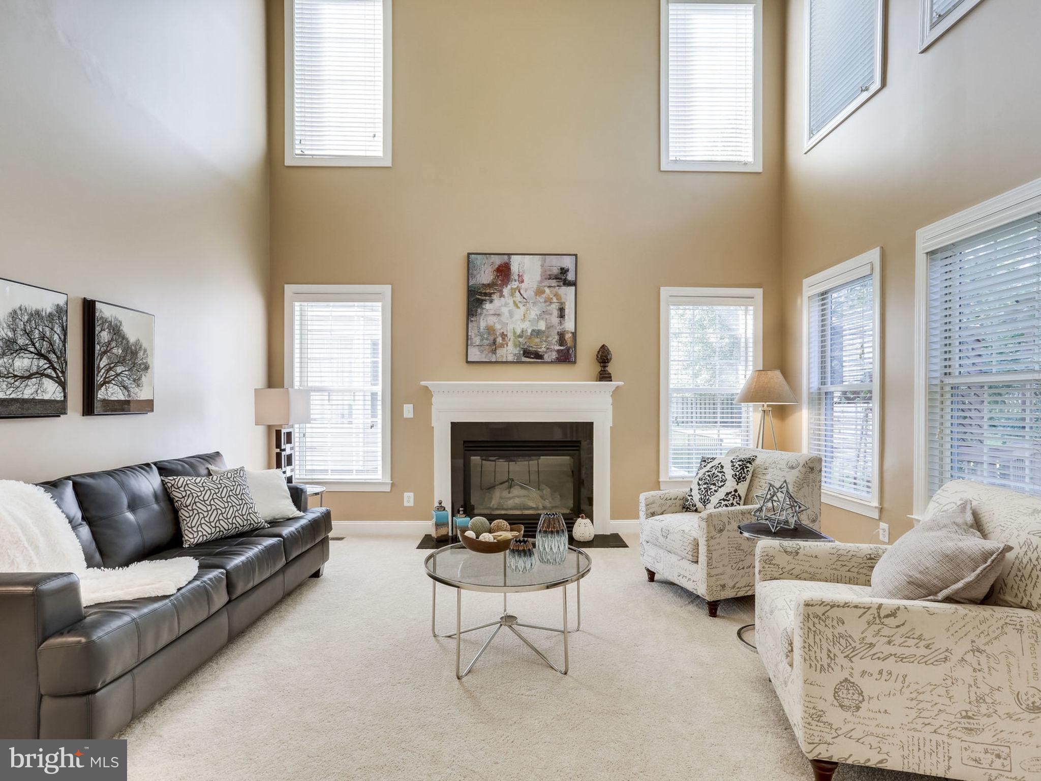 103 West George Mason Road Falls Church, VA 22046 - Photo 11 of 33 Soaring ceilings & Fireplace!
