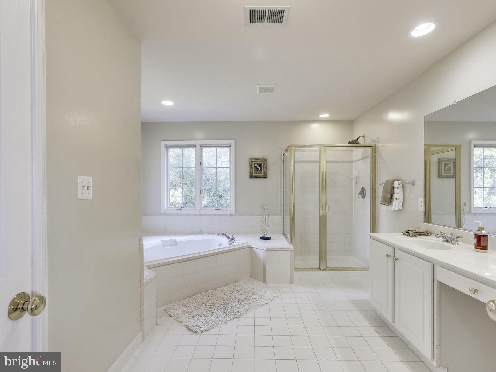 103 West George Mason Road Falls Church, VA 22046 - Photo 17 of 33 Bath (Master)