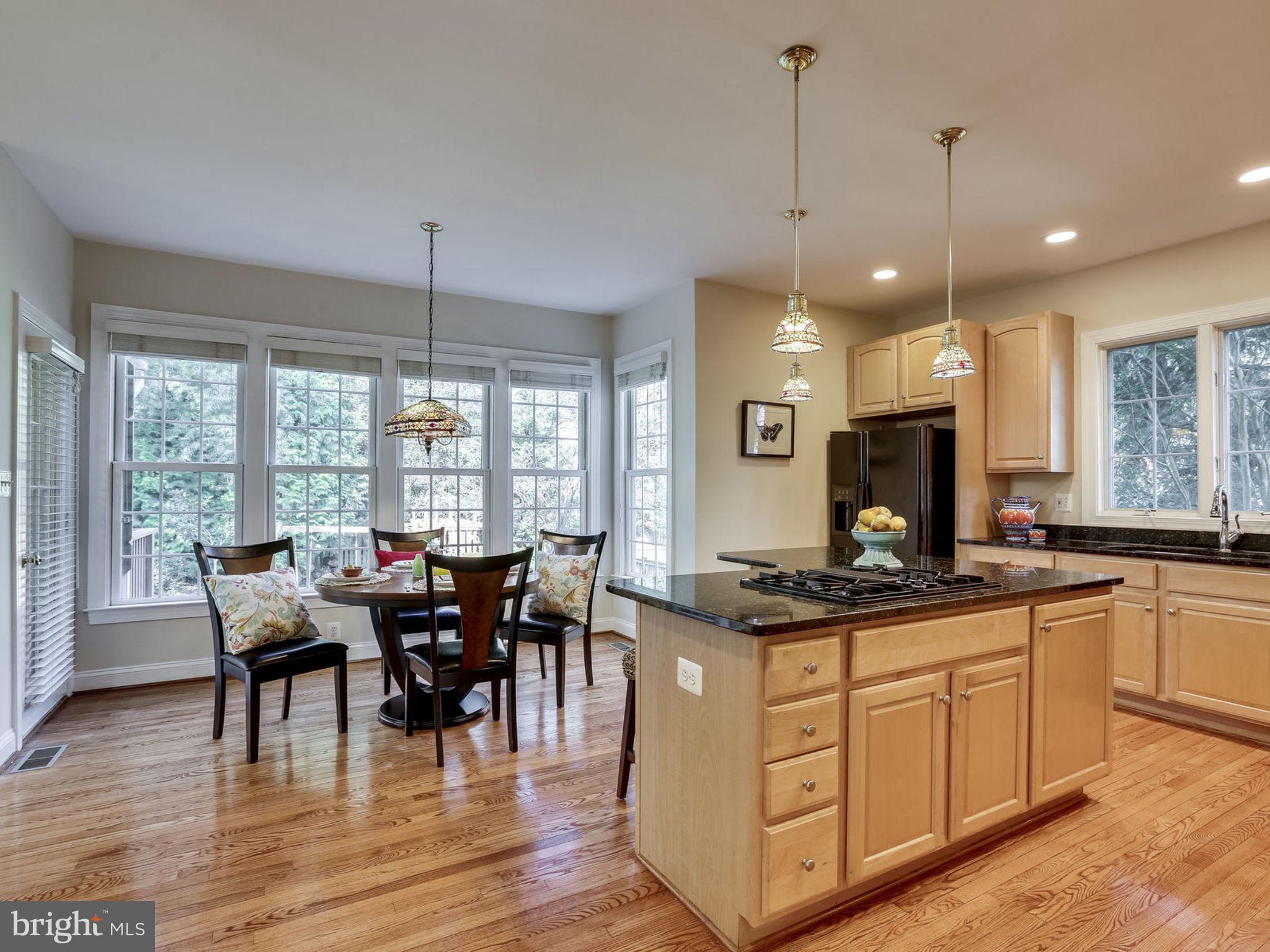 103 West George Mason Road Falls Church, VA 22046 - Photo 7 of 33 Bright and cheery Kitchen