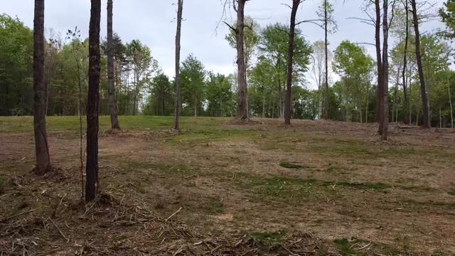 2222 Mauney Chapel Road Corbin, KY 40701 - Photo 4 of 17 2021-05-02-16-06-22-668