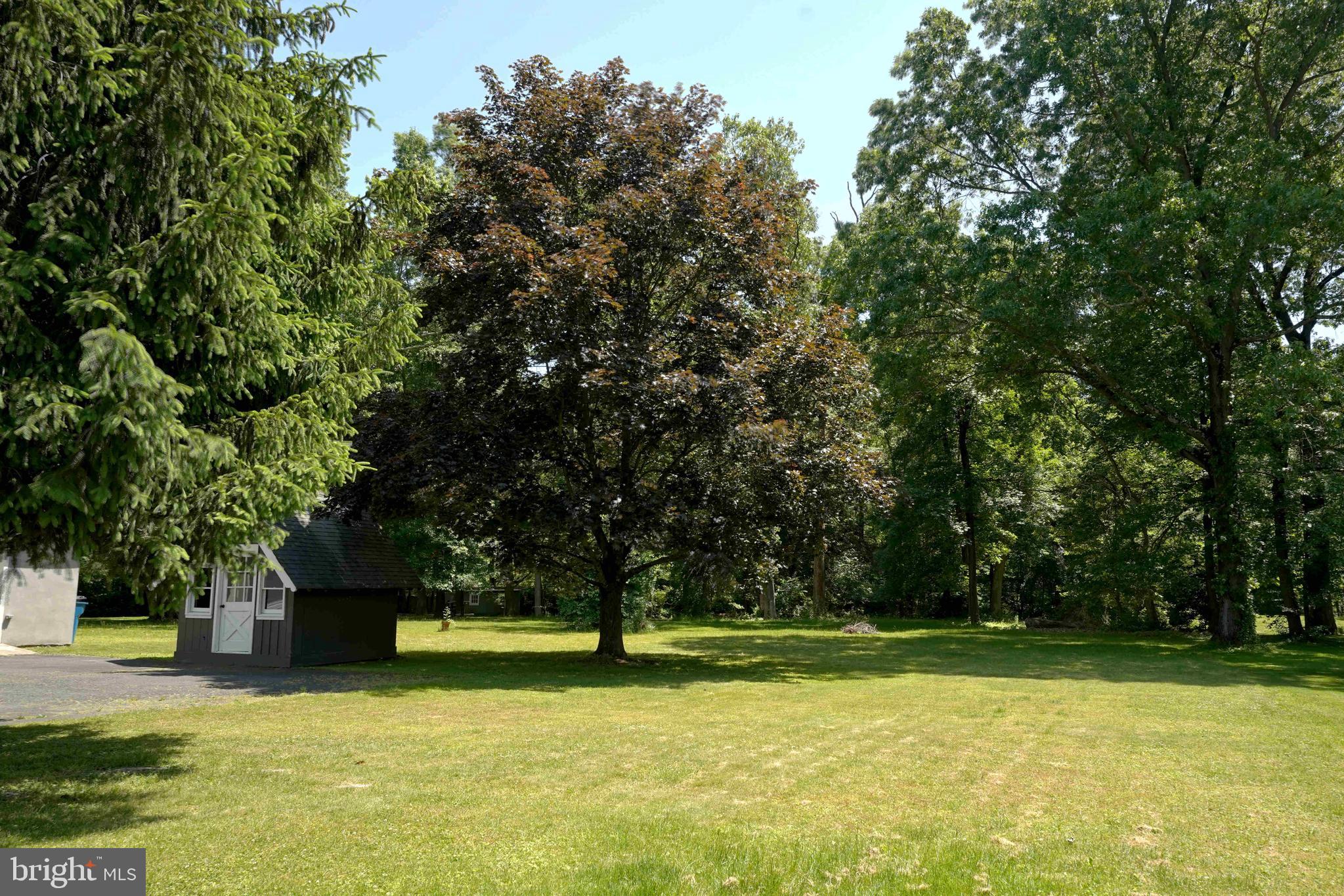 47 Diverty Road Pennington, NJ 08534 - Photo 46 of 54 Yard with mature trees