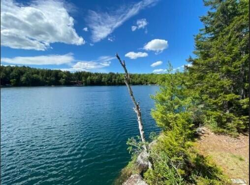 Lot 51 Ledges Way Dedham, ME 04429 - Photo 4 of 11 Screenshot 2021-10-13 081051