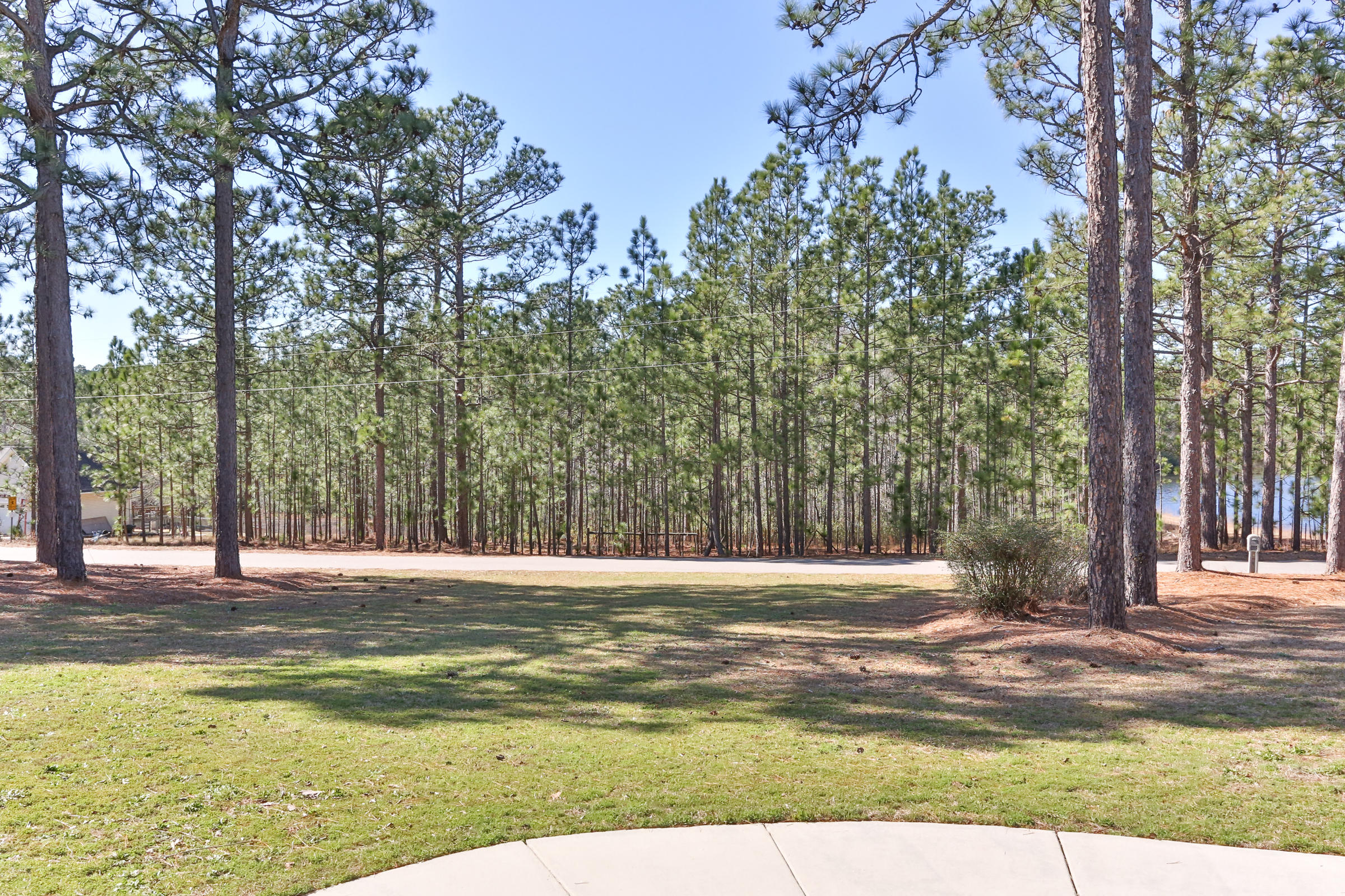 218 Raintree Road Hamlet, NC 28345 - Photo 50 of 60 2Z1A4702