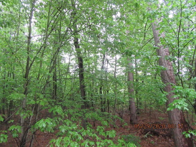 Bass Lake Lupton, MI 48635 - Photo 1 of 6 Gallery Image 1