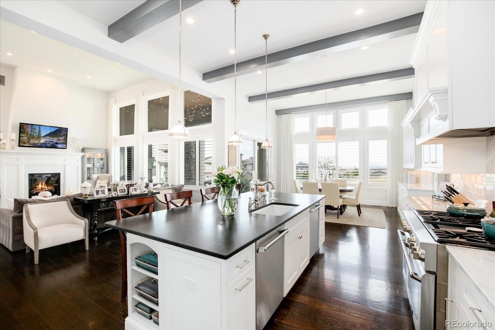 10890 Rainribbon Road Highlands Ranch, CO 80126 - Photo 9 of 40 a open kitchen with sink refrigerator and cabinets