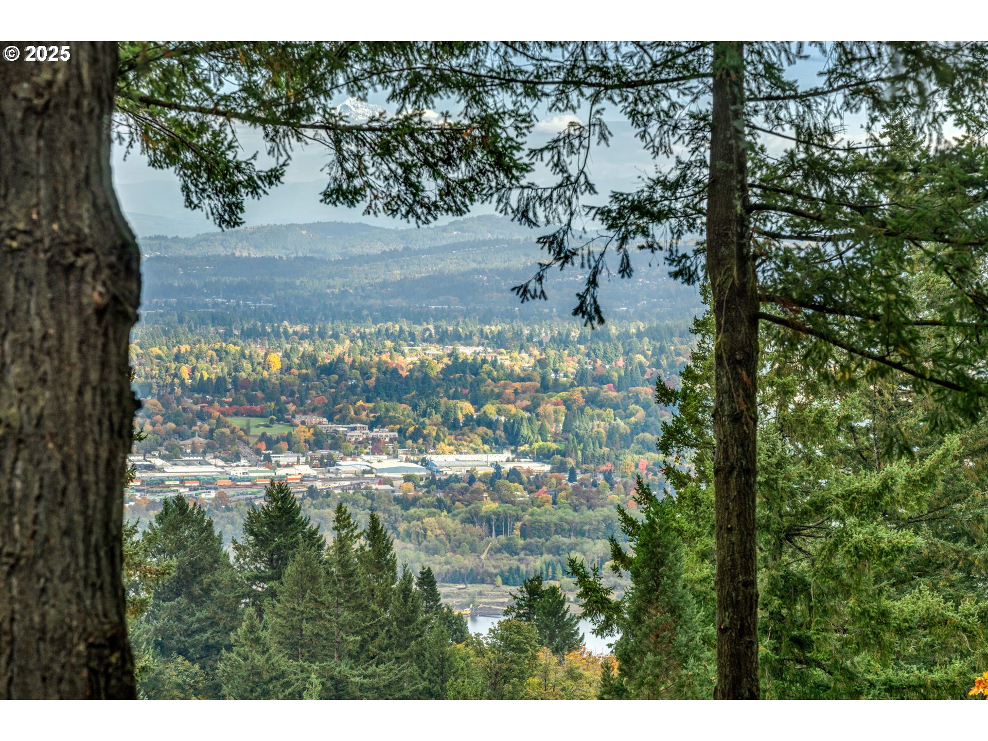 4530 Southwest Council Crest Drive Portland, OR 97239 - Photo 21 of 43 a view of a yard with plants and a bench